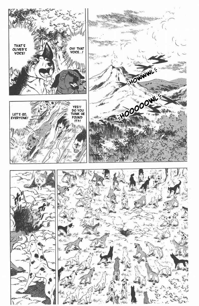 Page 63 Chapter 51 Silver Fang – The Shooting Star Gin –