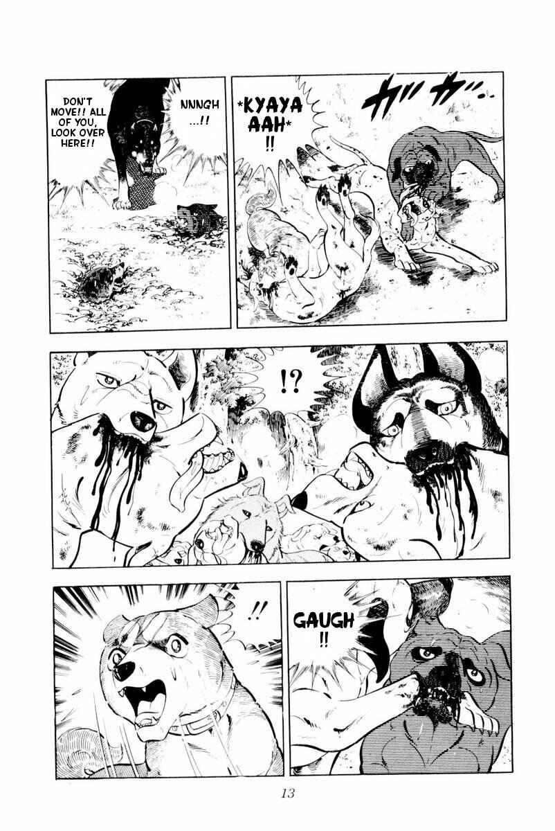 Page 13 Chapter 26 Silver Fang – The Shooting Star Gin –