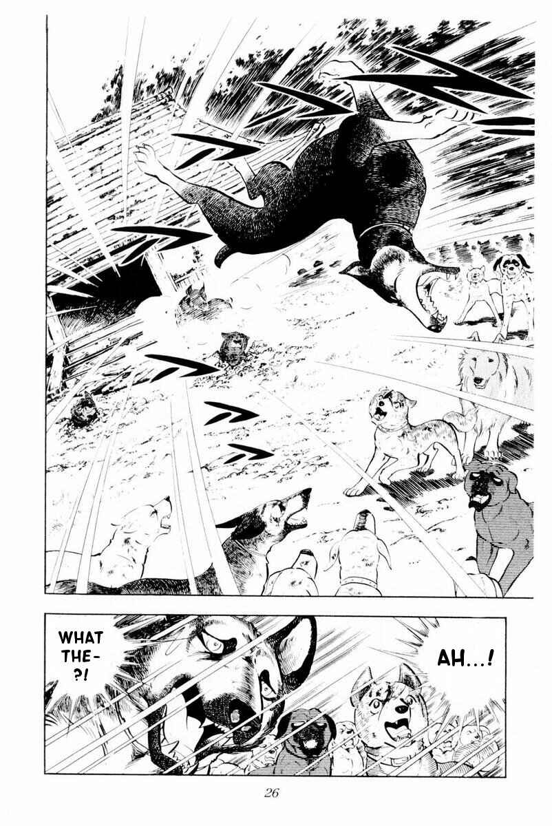 Page 26 Chapter 26 Silver Fang – The Shooting Star Gin –