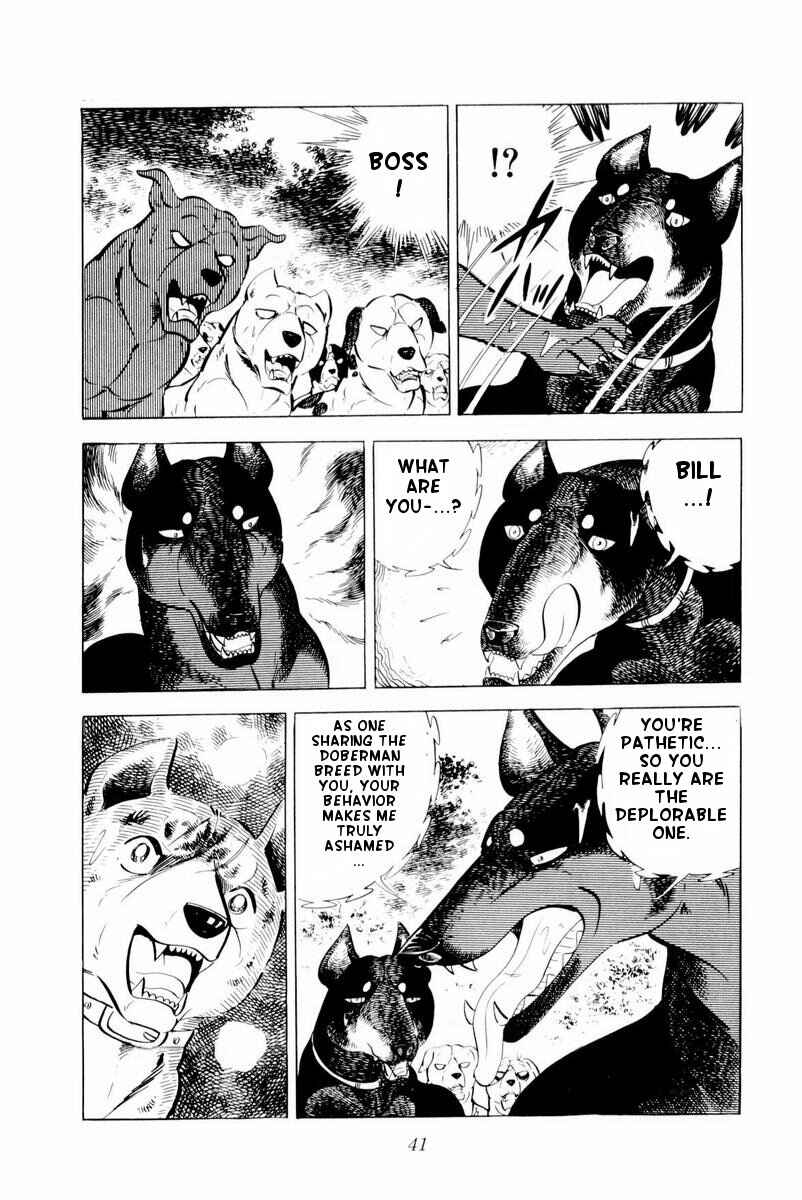 Page 41 Chapter 26 Silver Fang – The Shooting Star Gin –