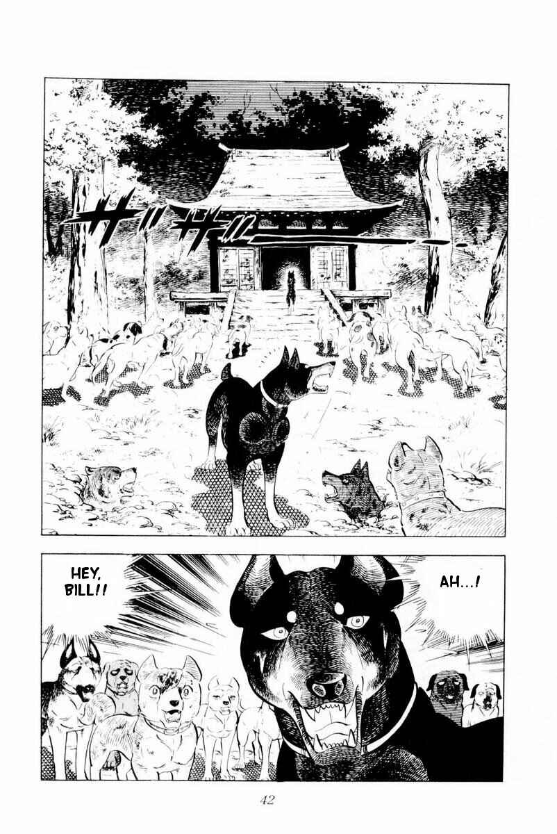 Page 42 Chapter 26 Silver Fang – The Shooting Star Gin –