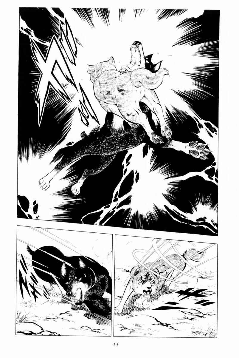 Page 44 Chapter 26 Silver Fang – The Shooting Star Gin –