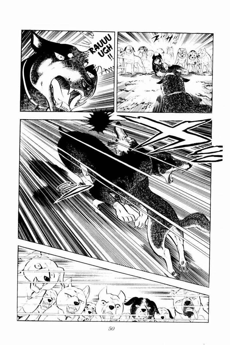 Page 50 Chapter 26 Silver Fang – The Shooting Star Gin –