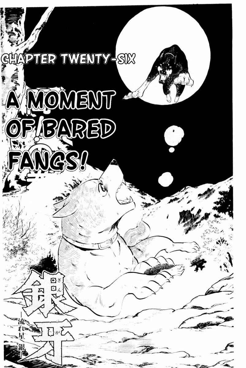 Page 6 Chapter 26 Silver Fang – The Shooting Star Gin –
