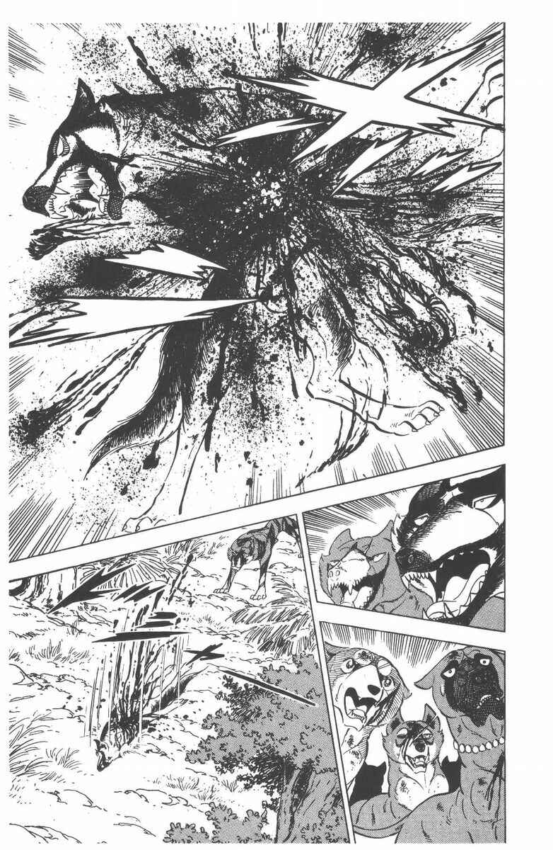 Page 23 Chapter 50 Silver Fang – The Shooting Star Gin –
