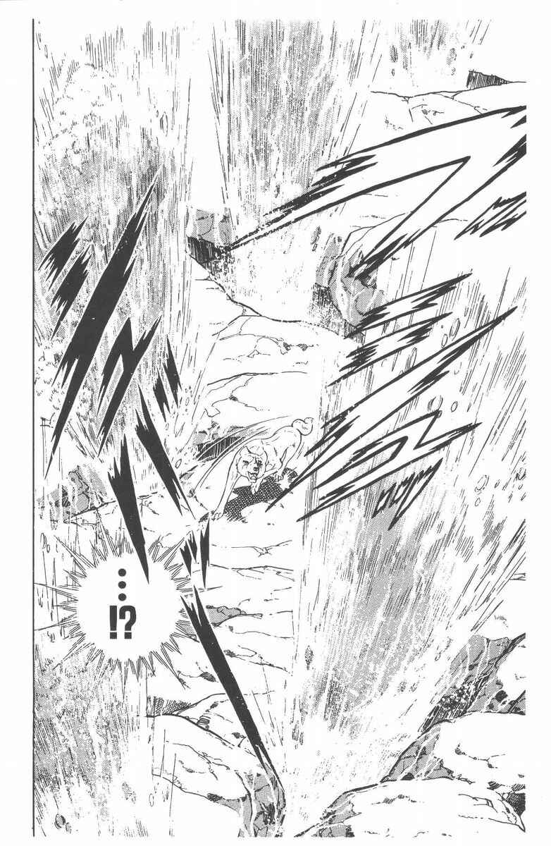 Page 32 Chapter 50 Silver Fang – The Shooting Star Gin –