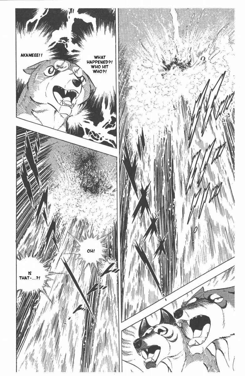 Page 52 Chapter 50 Silver Fang – The Shooting Star Gin –