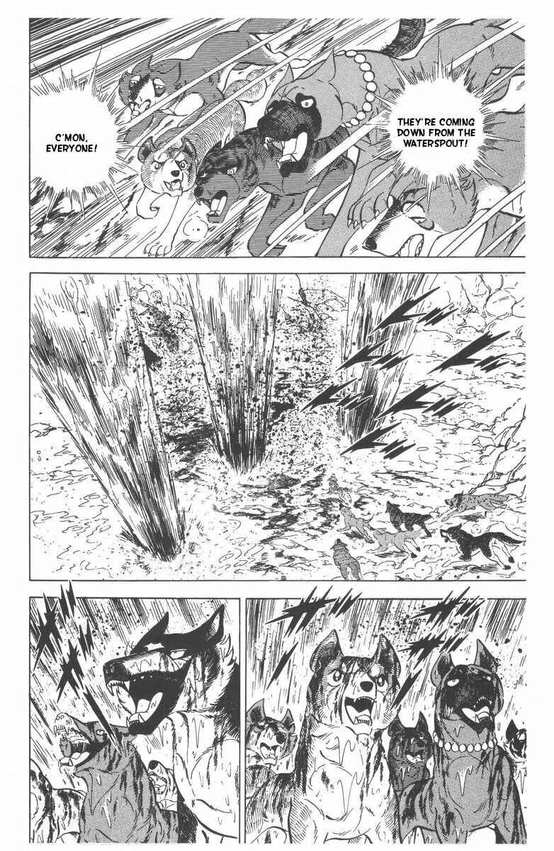 Page 54 Chapter 50 Silver Fang – The Shooting Star Gin –