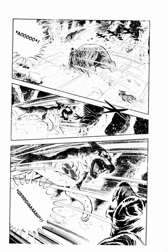 Page 19 Chapter 5 Silver Fang – The Shooting Star Gin –