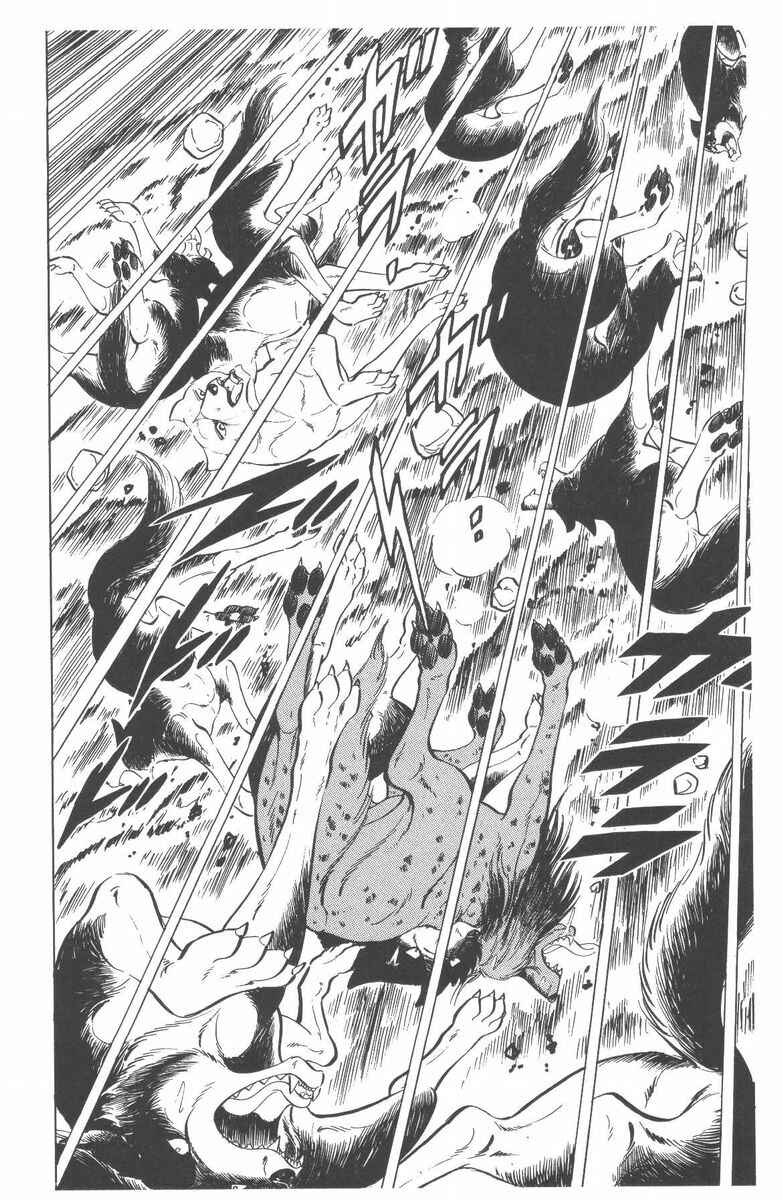 Page 20 Chapter 52 Silver Fang – The Shooting Star Gin –