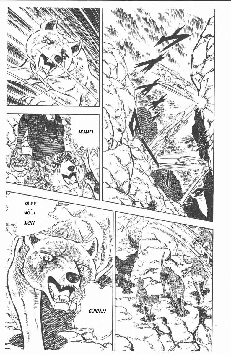 Page 23 Chapter 52 Silver Fang – The Shooting Star Gin –