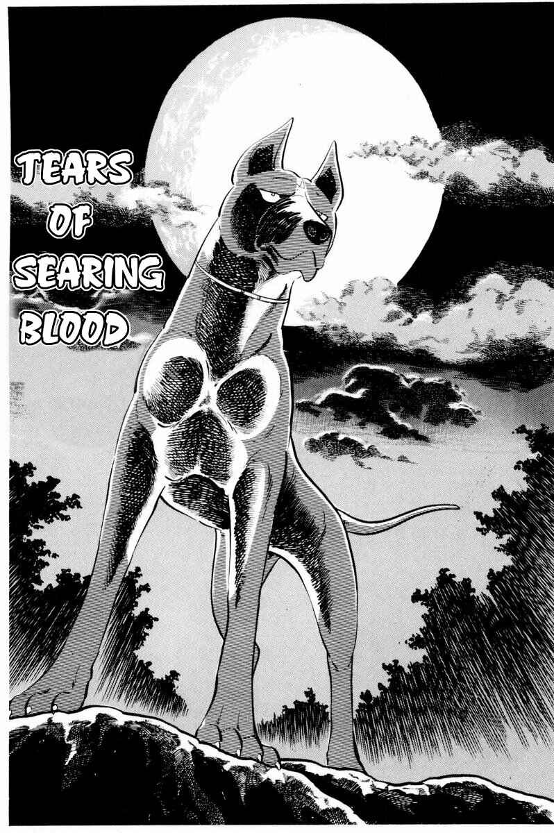 Page 1 Chapter 34 Silver Fang – The Shooting Star Gin –