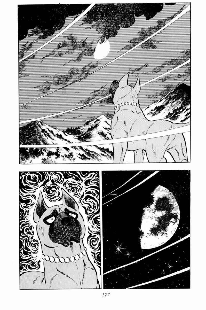 Page 17 Chapter 34 Silver Fang – The Shooting Star Gin –