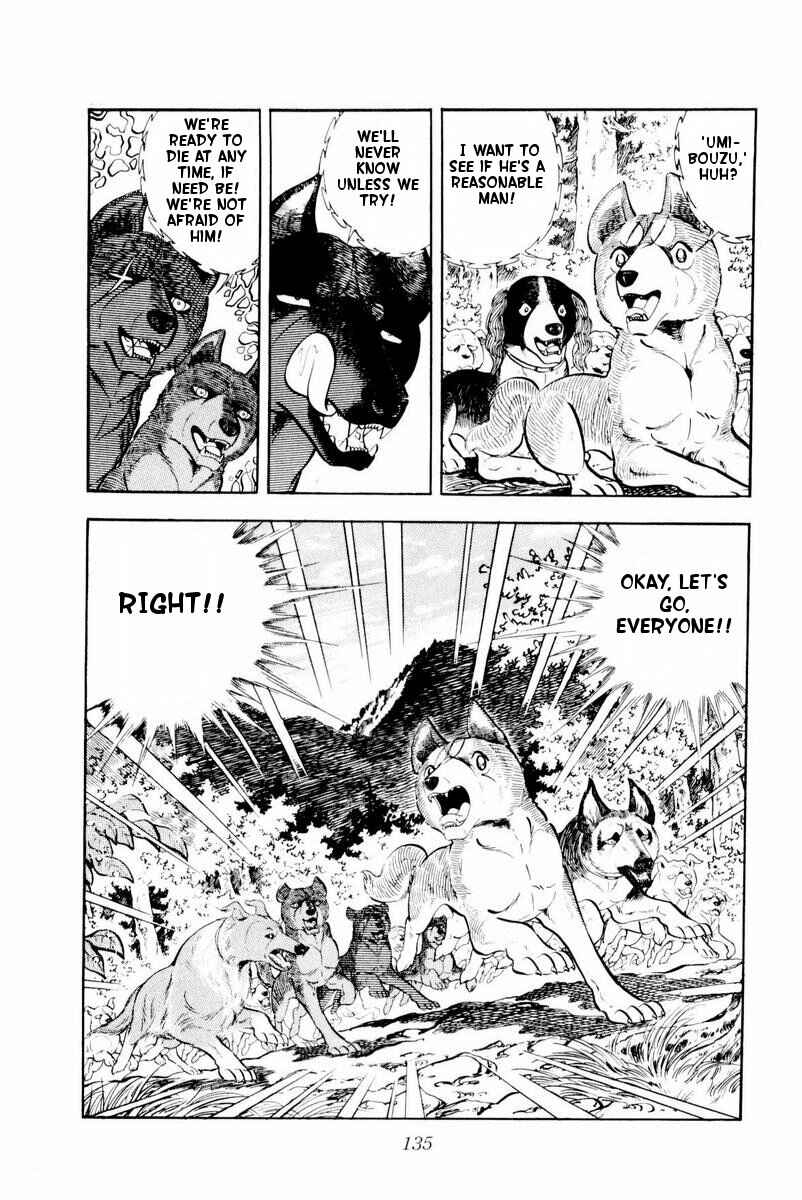 Page 11 Chapter 28 Silver Fang – The Shooting Star Gin –