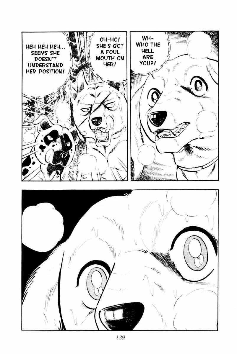 Page 15 Chapter 28 Silver Fang – The Shooting Star Gin –