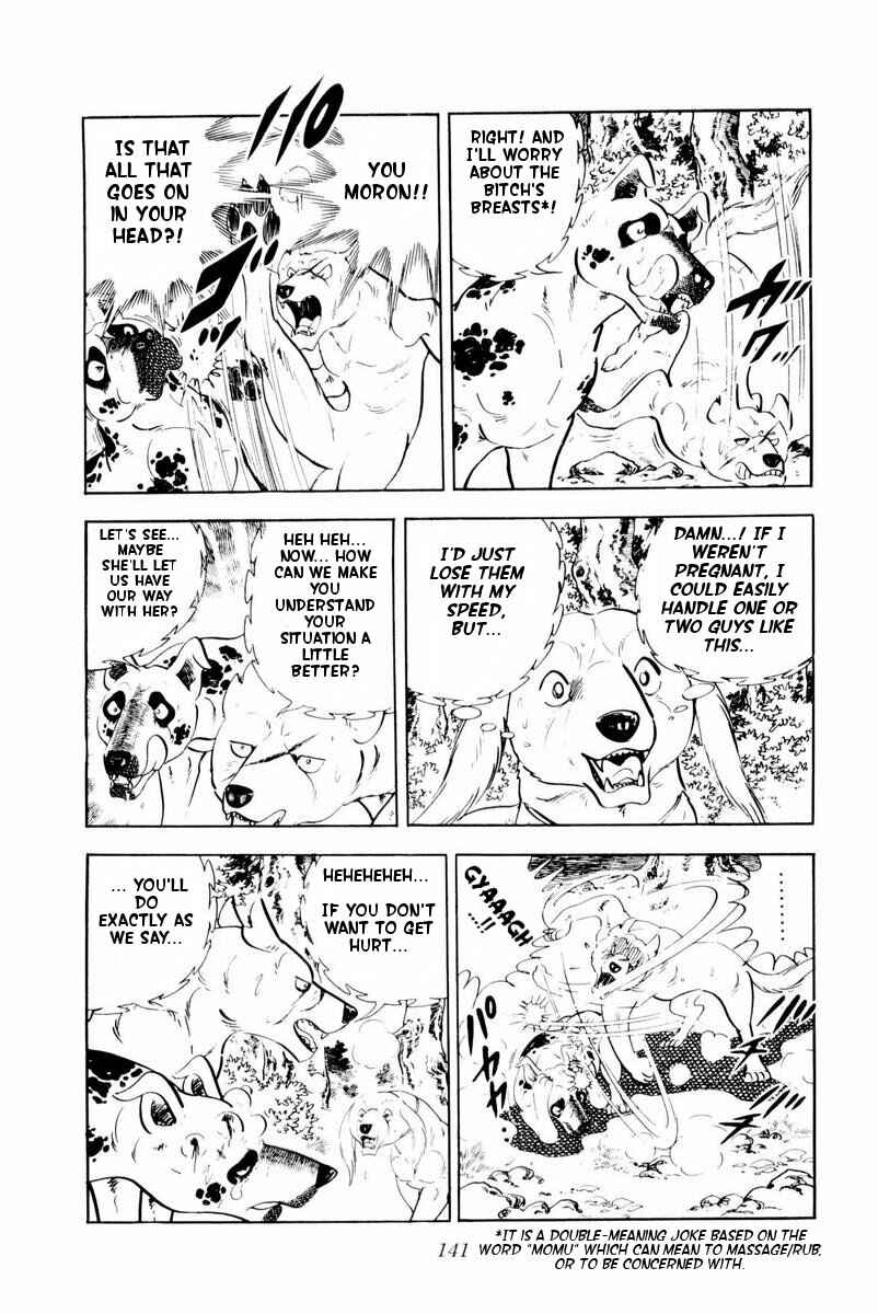 Page 17 Chapter 28 Silver Fang – The Shooting Star Gin –