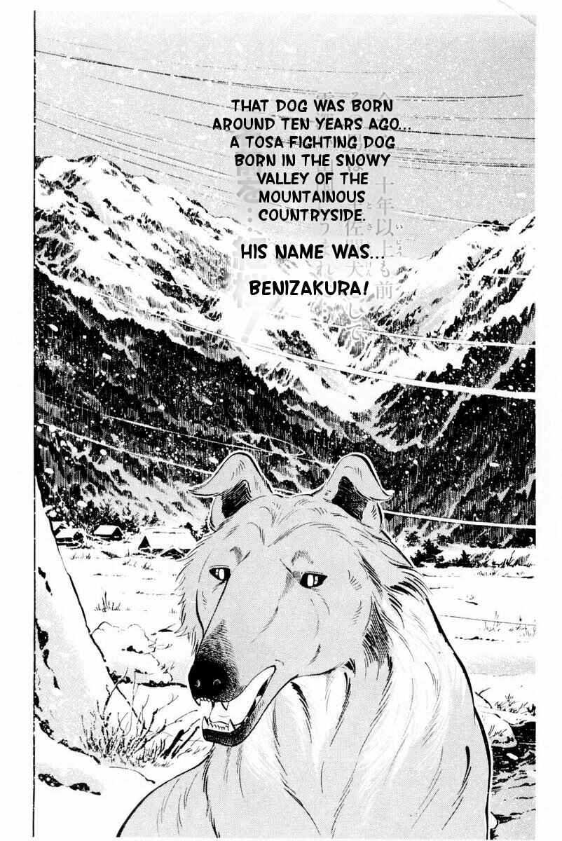Page 2 Chapter 28 Silver Fang – The Shooting Star Gin –