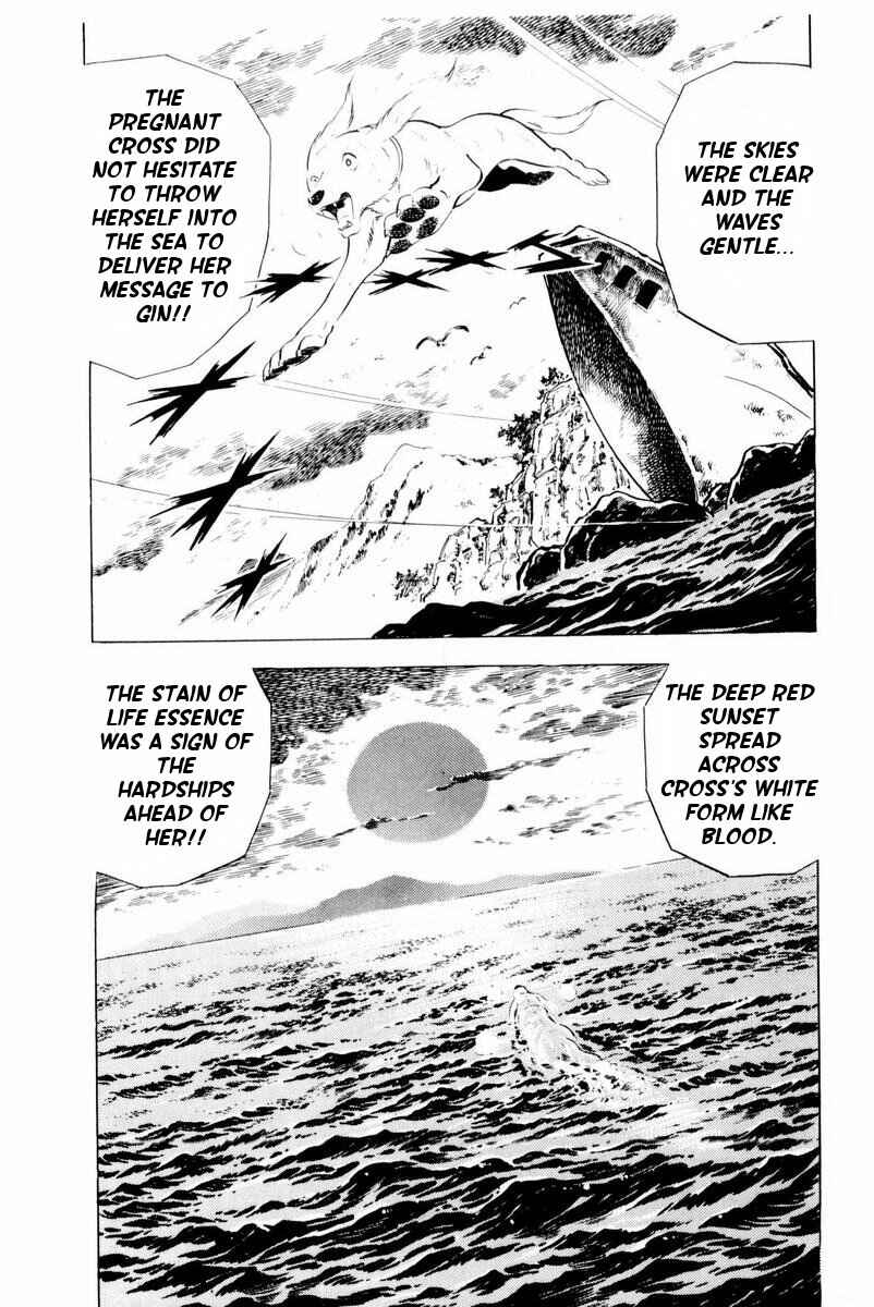 Page 25 Chapter 28 Silver Fang – The Shooting Star Gin –
