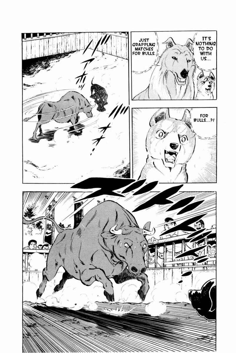 Page 29 Chapter 28 Silver Fang – The Shooting Star Gin –