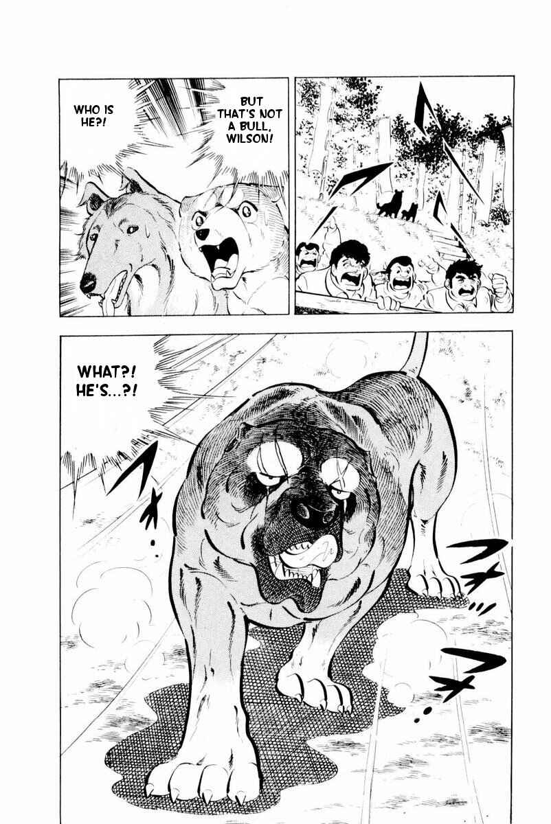 Page 31 Chapter 28 Silver Fang – The Shooting Star Gin –