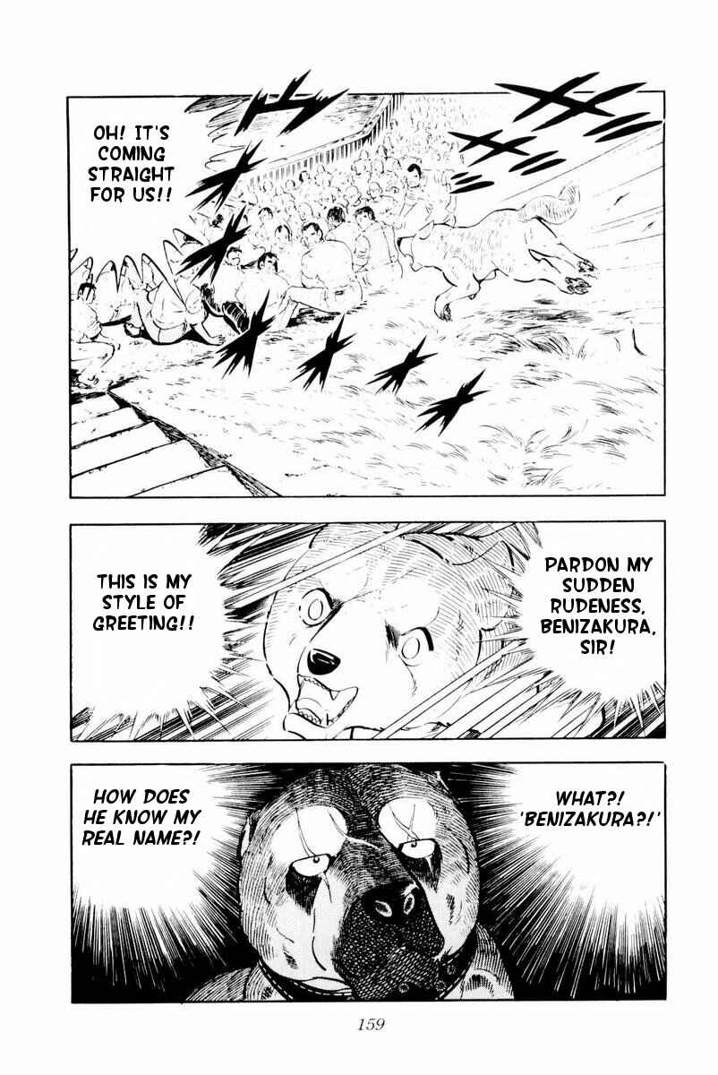 Page 35 Chapter 28 Silver Fang – The Shooting Star Gin –