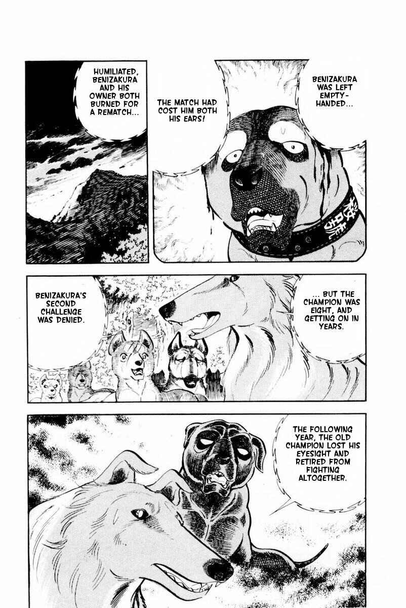 Page 6 Chapter 28 Silver Fang – The Shooting Star Gin –