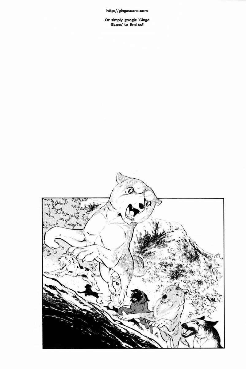 Page 62 Chapter 28 Silver Fang – The Shooting Star Gin –
