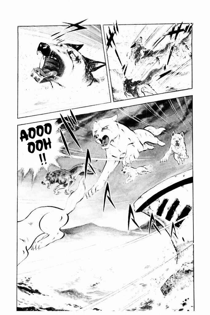 Page 16 Chapter 24 Silver Fang – The Shooting Star Gin –