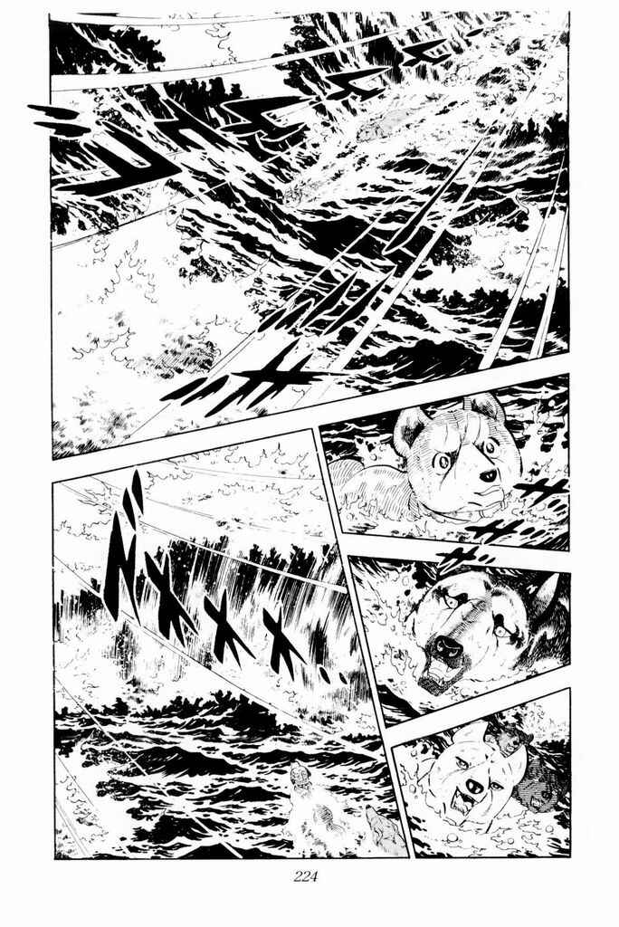 Page 21 Chapter 24 Silver Fang – The Shooting Star Gin –