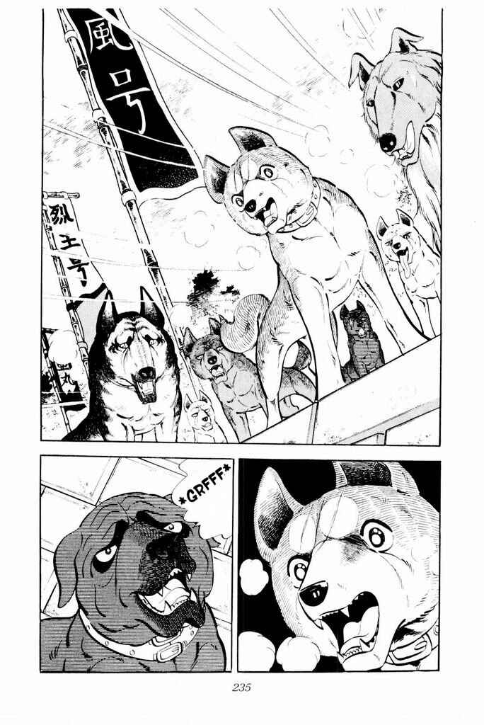 Page 32 Chapter 24 Silver Fang – The Shooting Star Gin –
