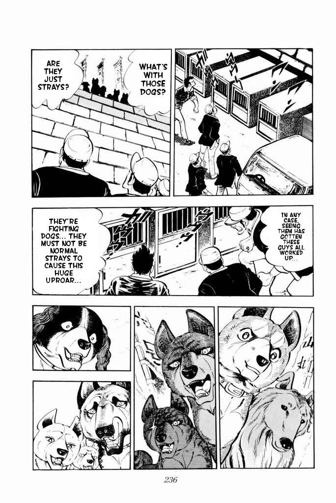 Page 33 Chapter 24 Silver Fang – The Shooting Star Gin –