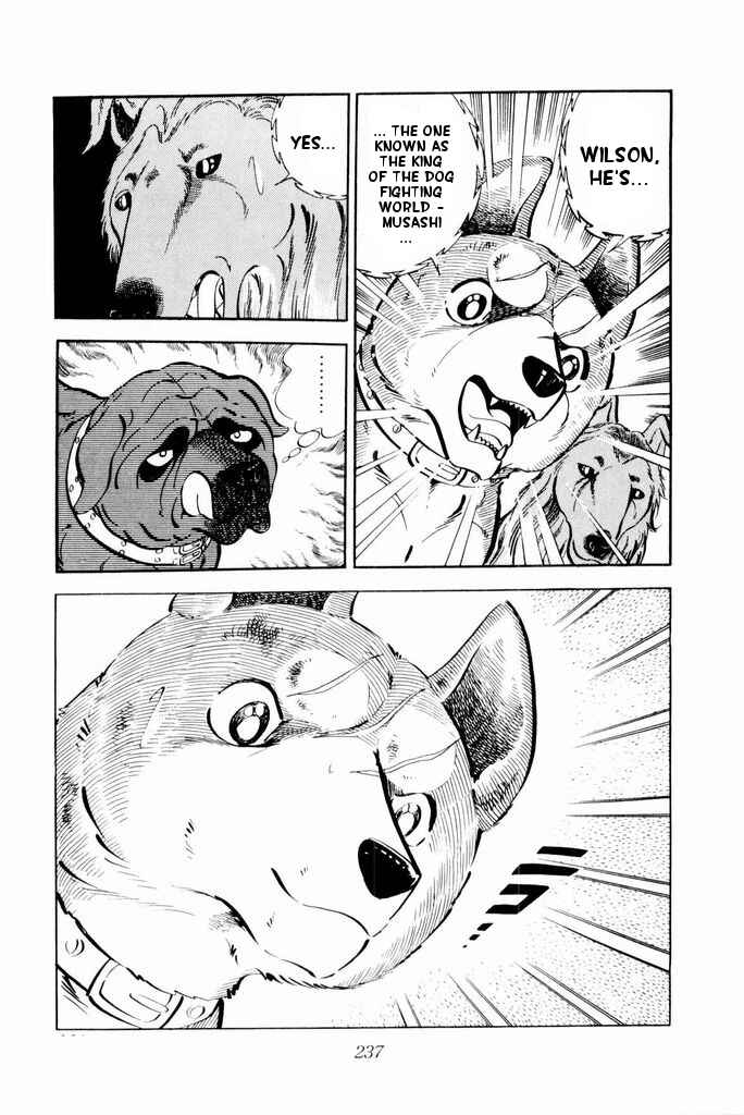 Page 34 Chapter 24 Silver Fang – The Shooting Star Gin –