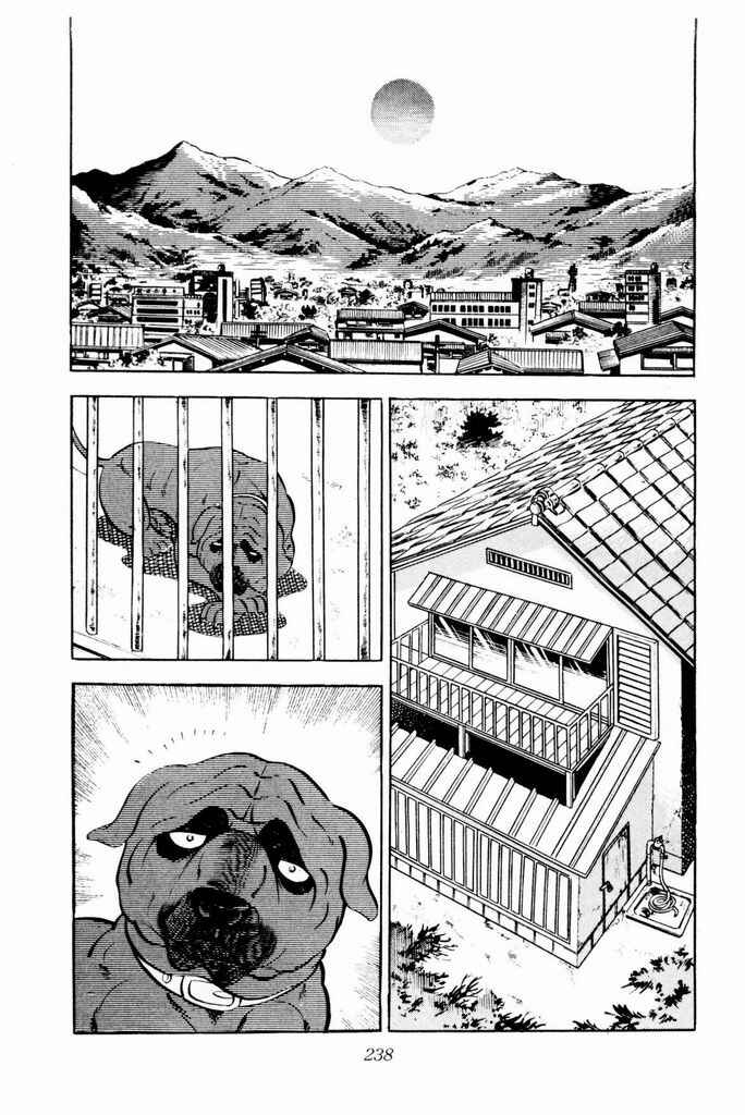 Page 35 Chapter 24 Silver Fang – The Shooting Star Gin –