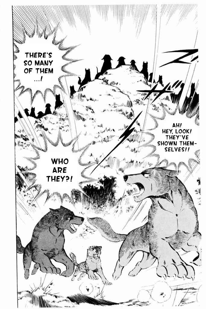 Page 49 Chapter 24 Silver Fang – The Shooting Star Gin –