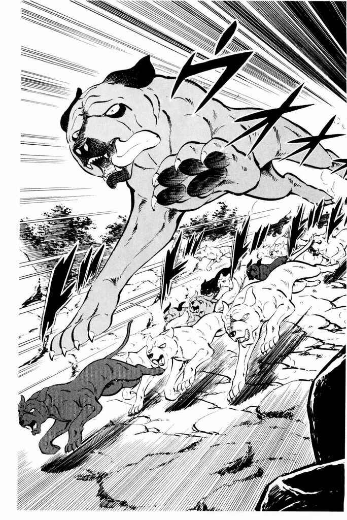 Page 50 Chapter 24 Silver Fang – The Shooting Star Gin –