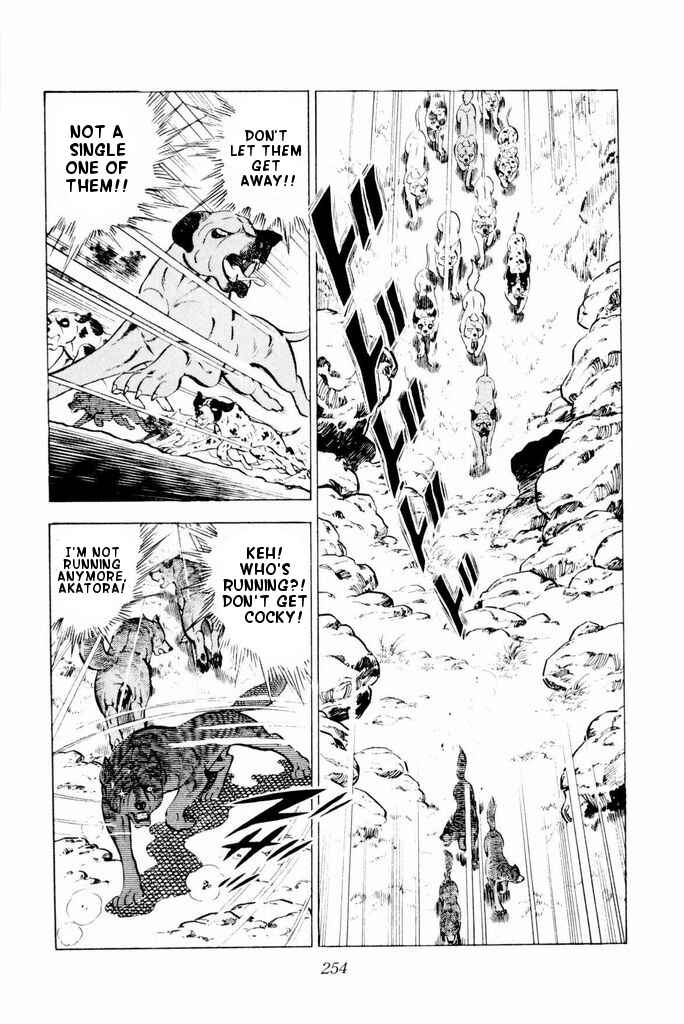 Page 51 Chapter 24 Silver Fang – The Shooting Star Gin –