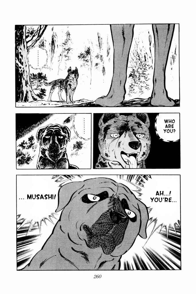 Page 57 Chapter 24 Silver Fang – The Shooting Star Gin –