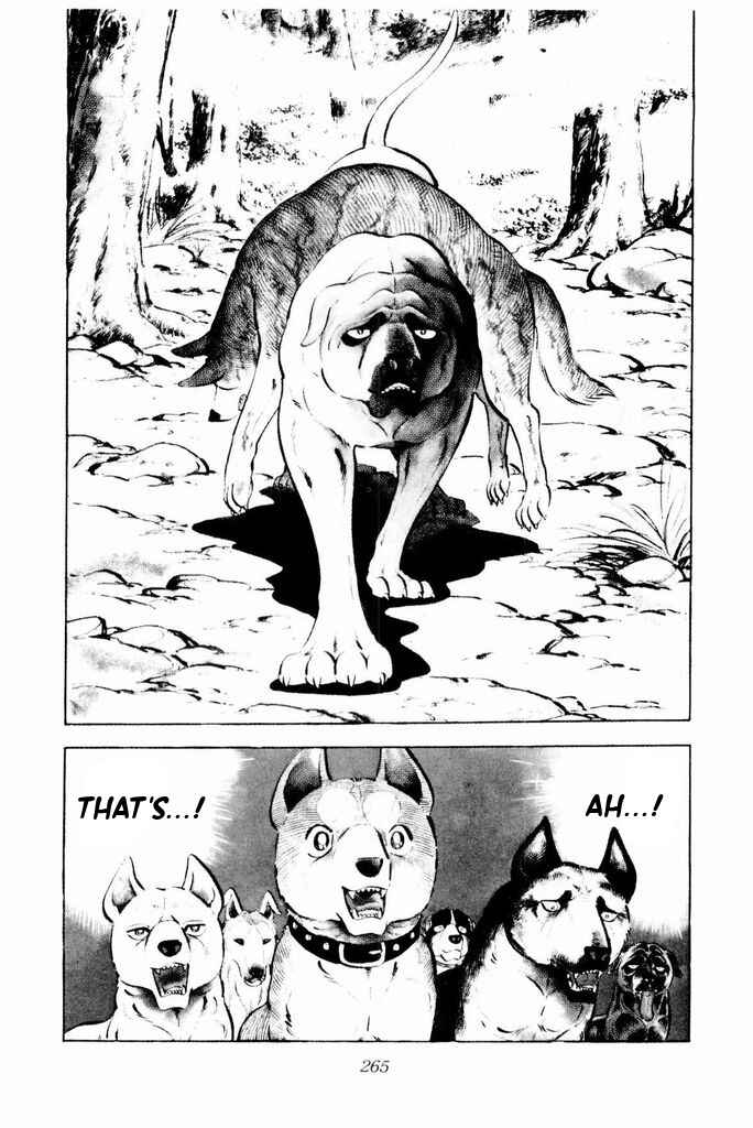 Page 62 Chapter 24 Silver Fang – The Shooting Star Gin –