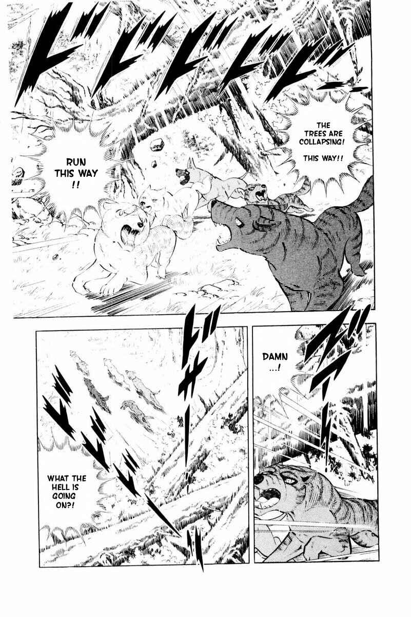 Page 31 Chapter 44 Silver Fang – The Shooting Star Gin –