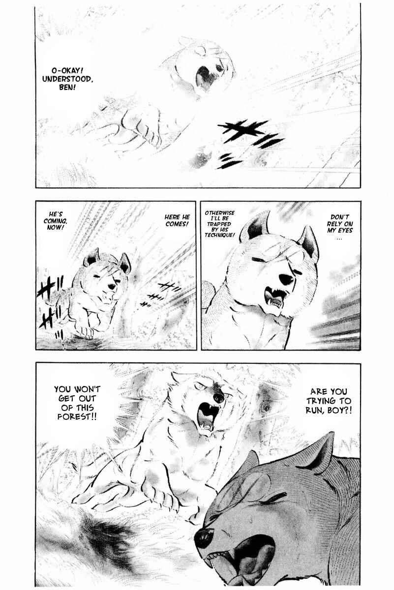 Page 54 Chapter 44 Silver Fang – The Shooting Star Gin –