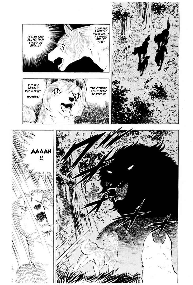 Page 67 Chapter 44 Silver Fang – The Shooting Star Gin –