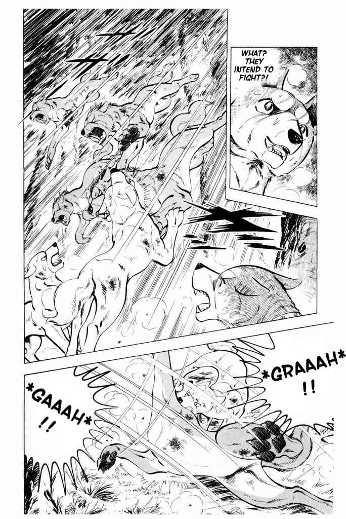 Page 13 Chapter 21 Silver Fang – The Shooting Star Gin –