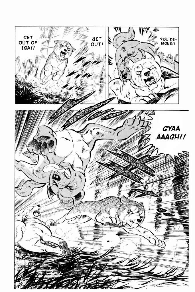 Page 23 Chapter 21 Silver Fang – The Shooting Star Gin –