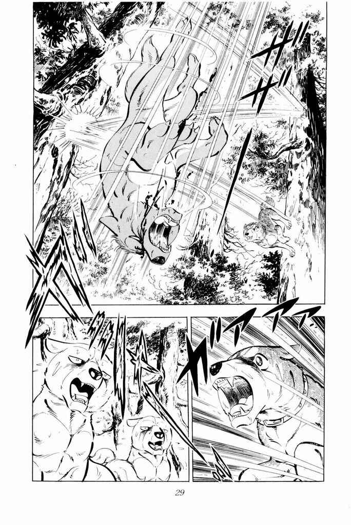 Page 28 Chapter 21 Silver Fang – The Shooting Star Gin –