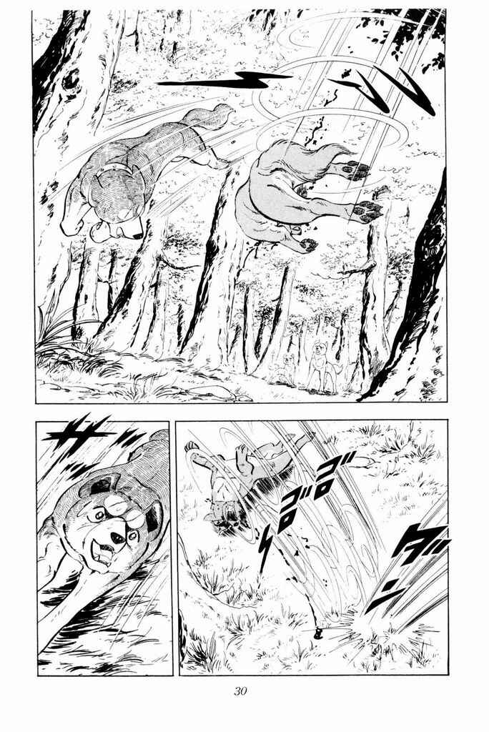 Page 29 Chapter 21 Silver Fang – The Shooting Star Gin –