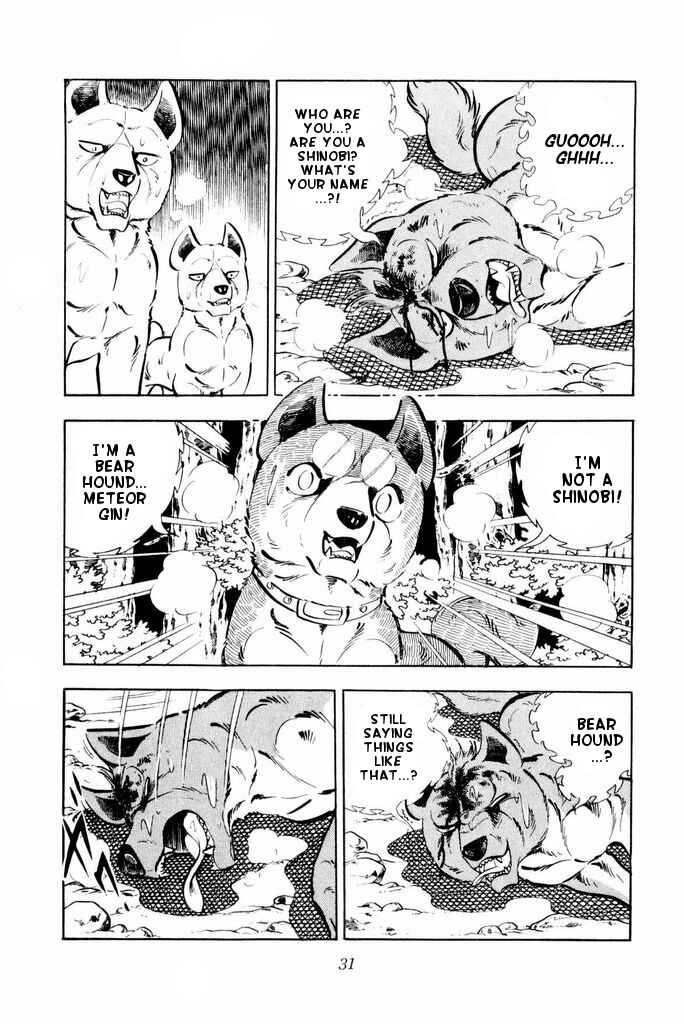 Page 30 Chapter 21 Silver Fang – The Shooting Star Gin –