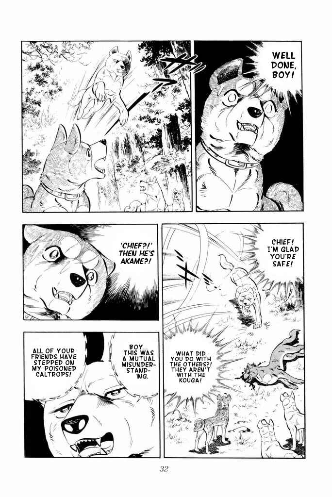 Page 31 Chapter 21 Silver Fang – The Shooting Star Gin –