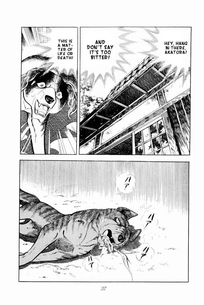 Page 36 Chapter 21 Silver Fang – The Shooting Star Gin –