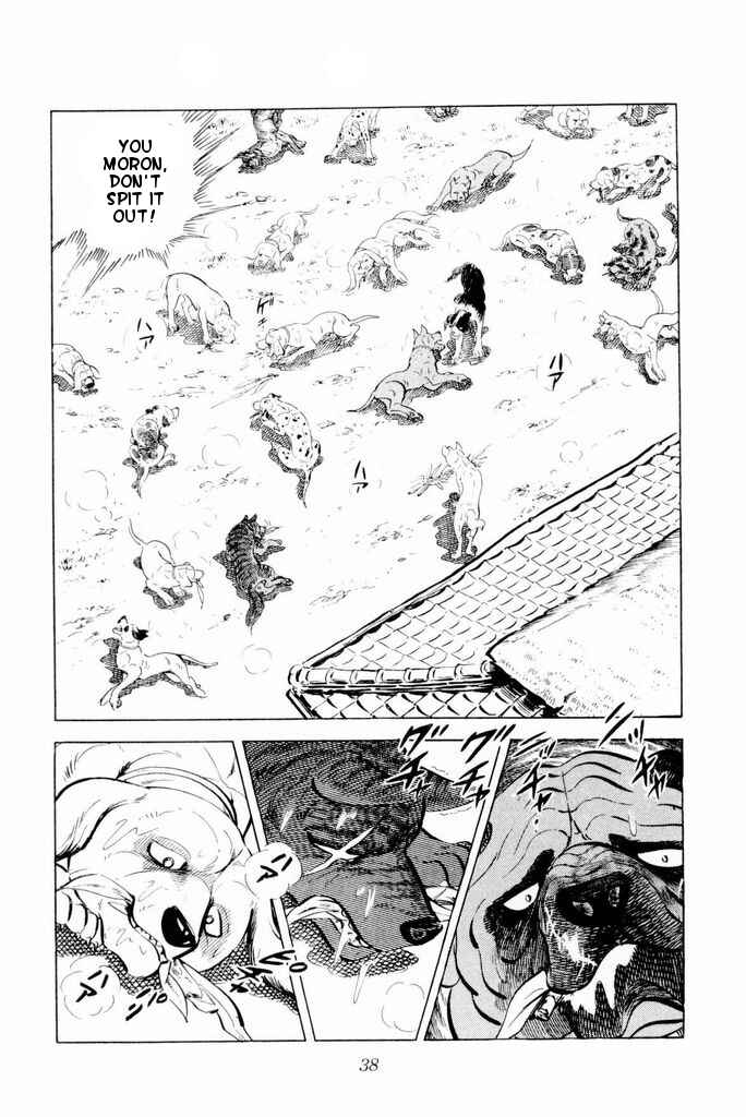 Page 37 Chapter 21 Silver Fang – The Shooting Star Gin –