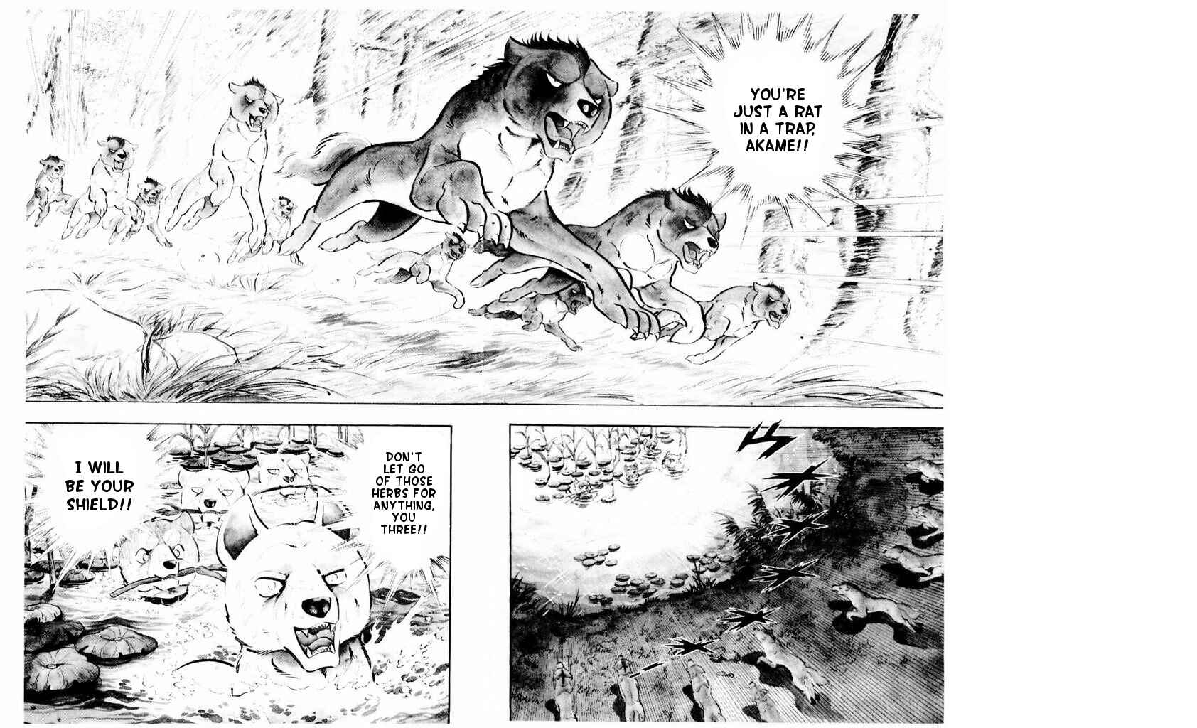 Page 43 Chapter 21 Silver Fang – The Shooting Star Gin –